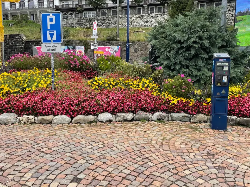 Blumen – Blüte