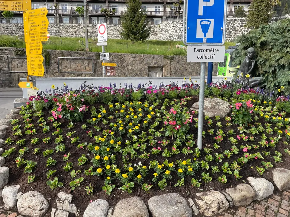 Fleurissement – Floraison