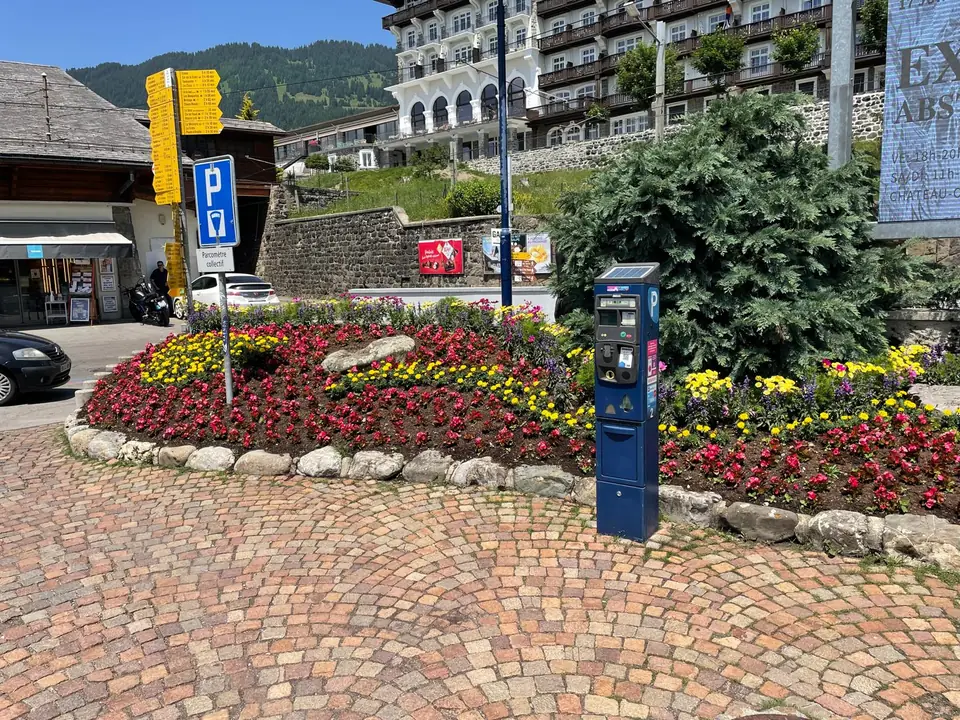 Massif fleuri · Villars