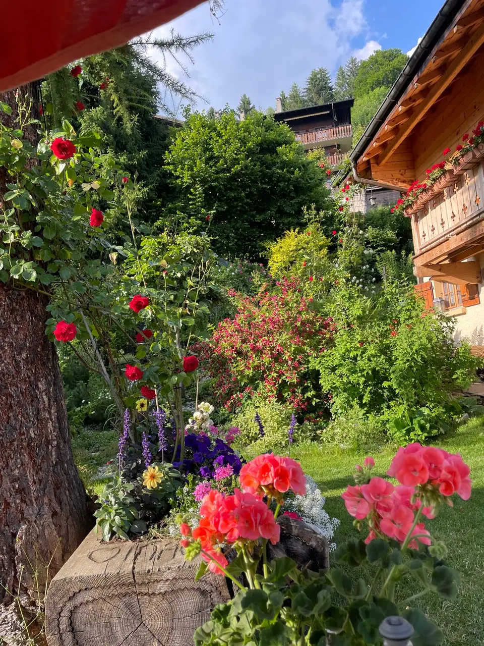 Jardin de montagne
