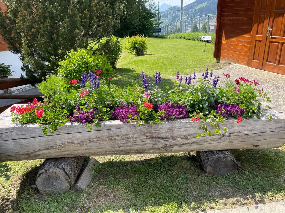Bacs et jardinières fleuris