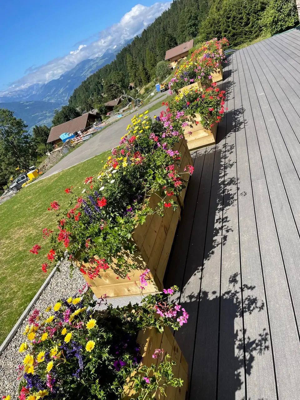 Bacs et jardinières fleuris