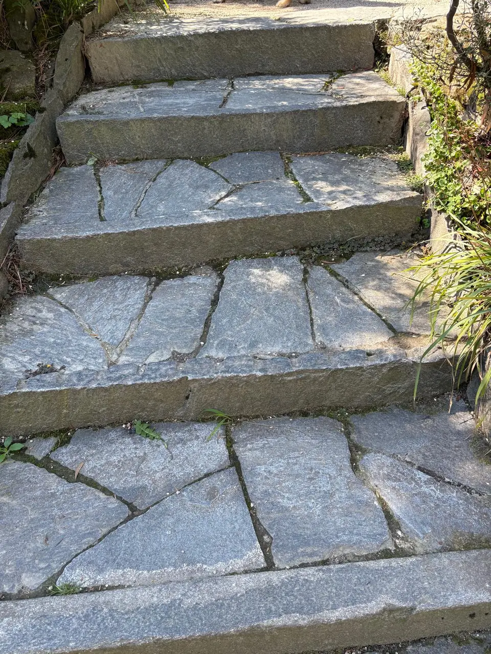 Escalier en pierre