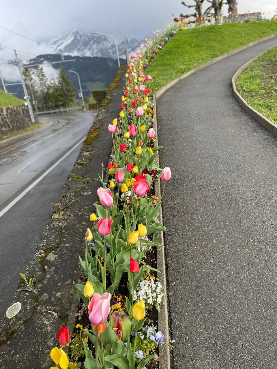 Printemps