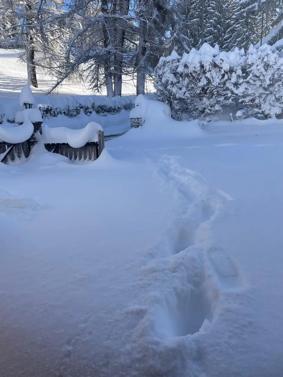 Hiver